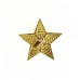 Петличный знак воинского различия ЗВЕЗДА, для генералов Красной Армии и войск НКВД, обр. 1940 г.. 